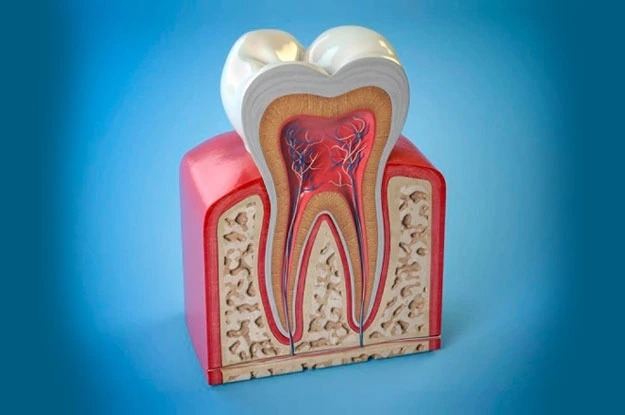 Root Canal Treatment